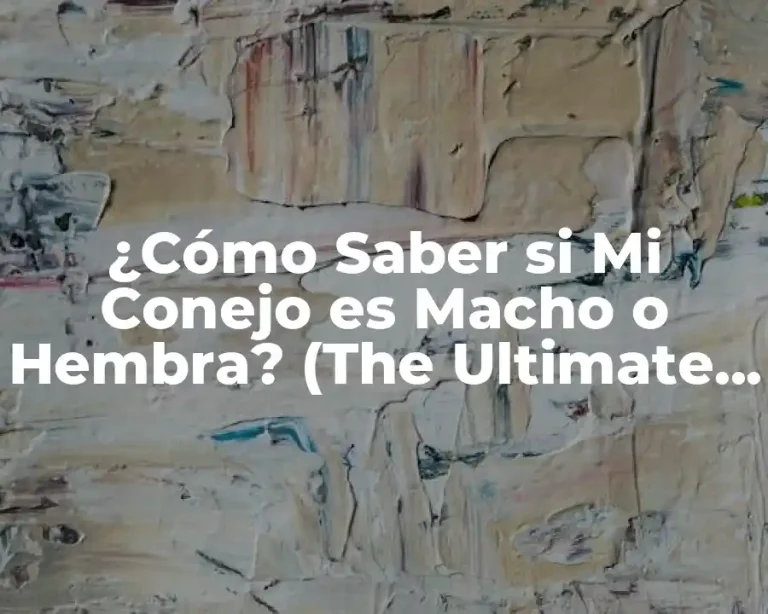 ¿Cómo Saber si Mi Conejo es Macho o Hembra? (The Ultimate Guide)