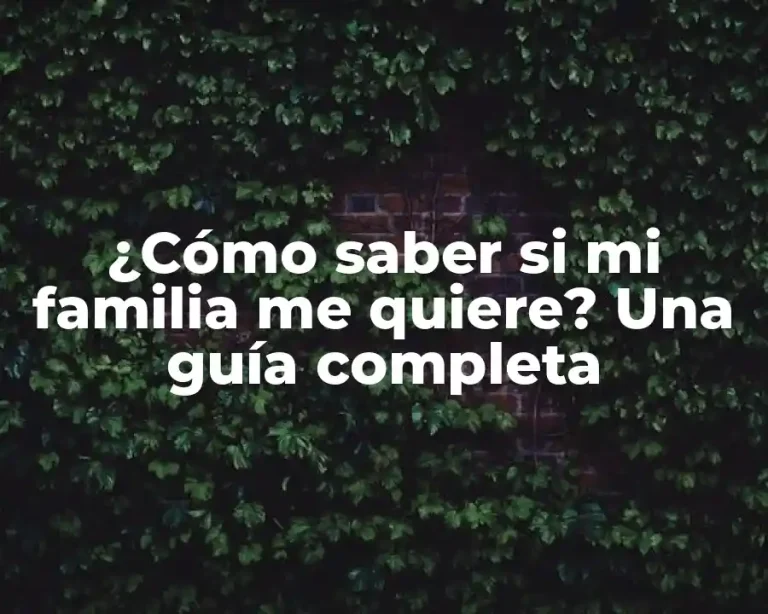 ¿Cómo saber si mi familia me quiere? Una guía completa