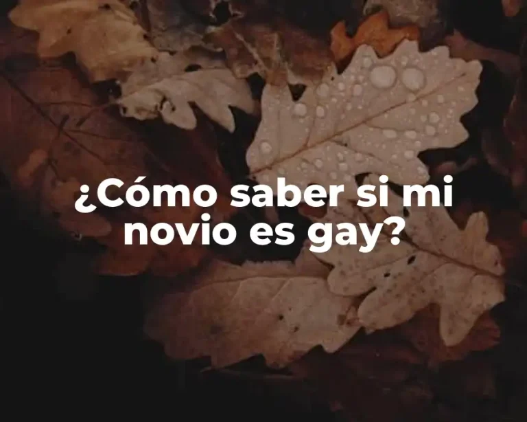 ¿Cómo saber si mi novio es gay?
