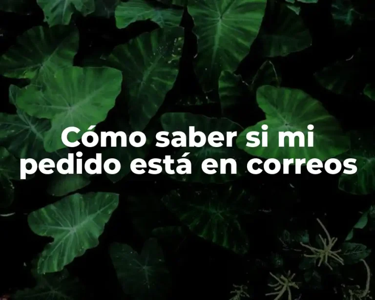 Cómo saber si mi pedido está en correos