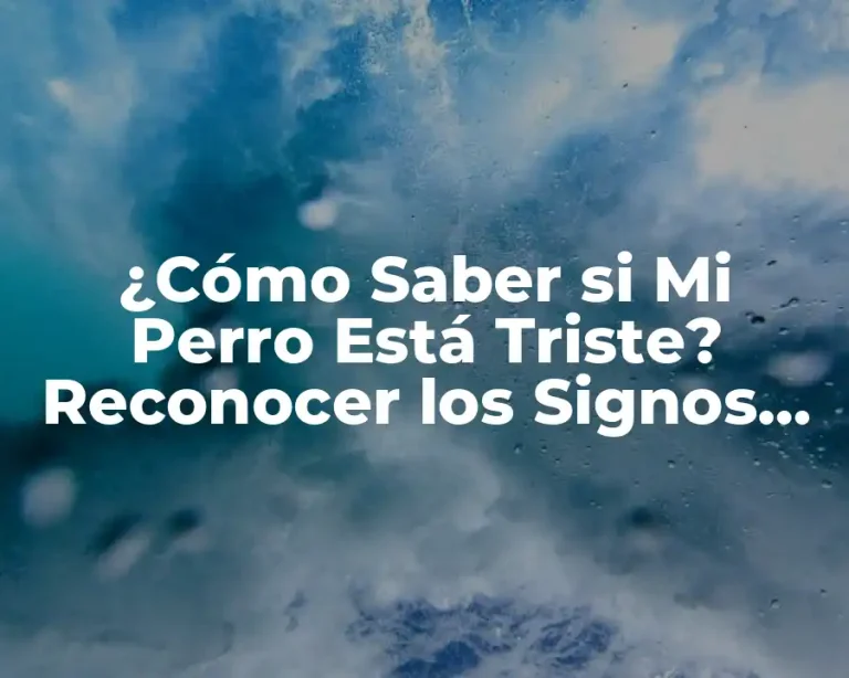 ¿Cómo Saber si Mi Perro Está Triste? Reconocer los Signos de Tristeza en los Perros