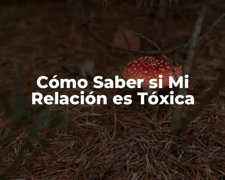 Cómo Saber si Mi Relación es Tóxica