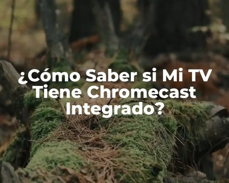 ¿Cómo Saber si Mi TV Tiene Chromecast Integrado?