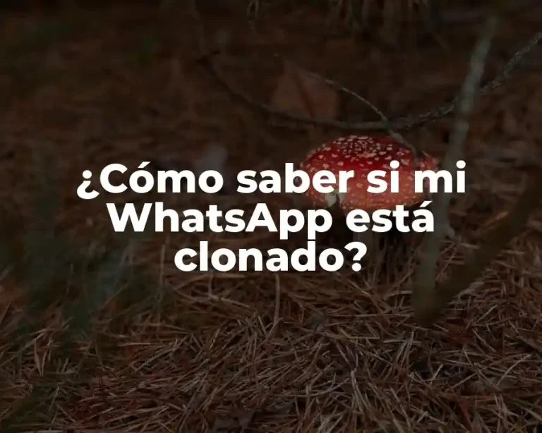 ¿Cómo saber si mi WhatsApp está clonado?