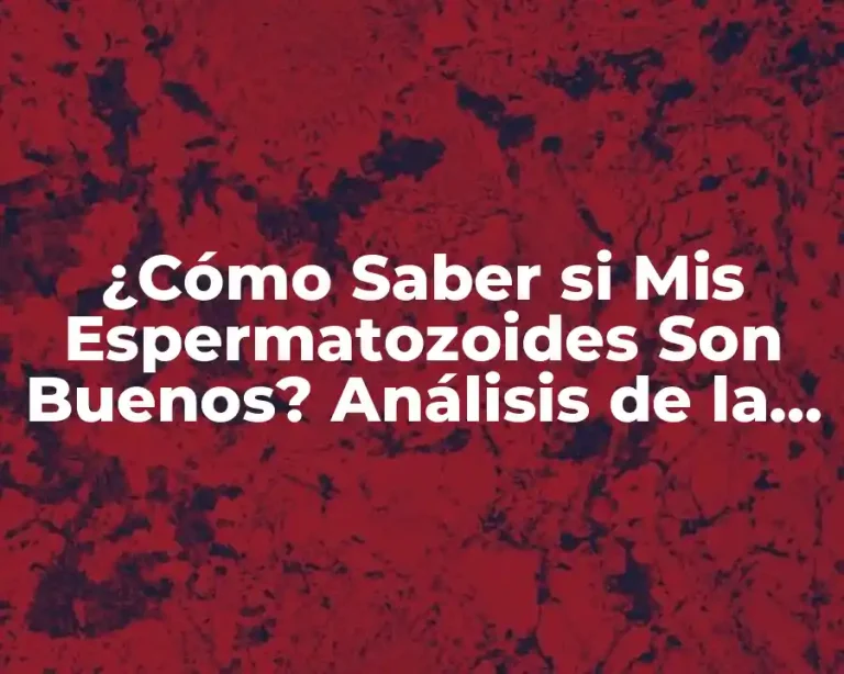 ¿Cómo Saber si Mis Espermatozoides Son Buenos? Análisis de la Calidad del Semen