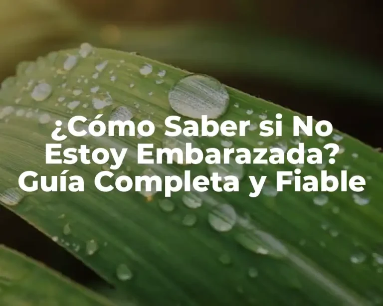 ¿Cómo Saber si No Estoy Embarazada? Guía Completa y Fiable