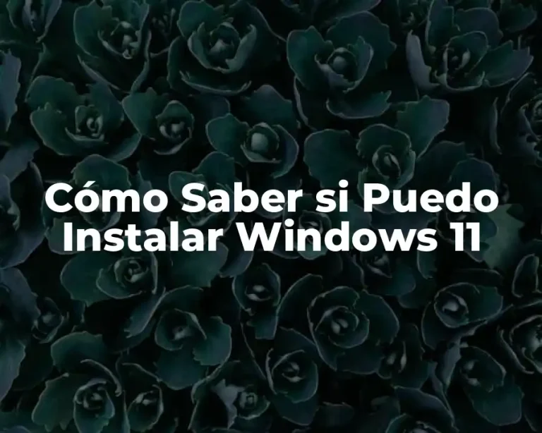 Cómo Saber si Puedo Instalar Windows 11