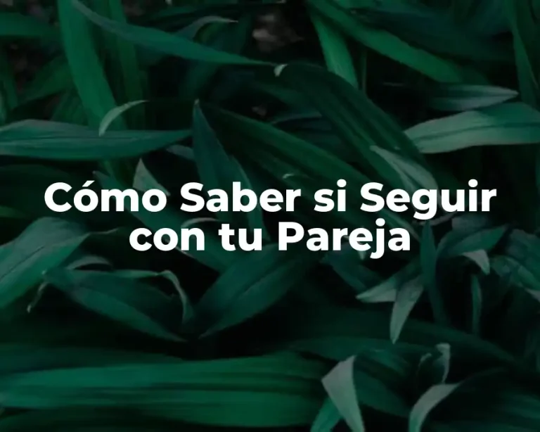 Cómo Saber si Seguir con tu Pareja