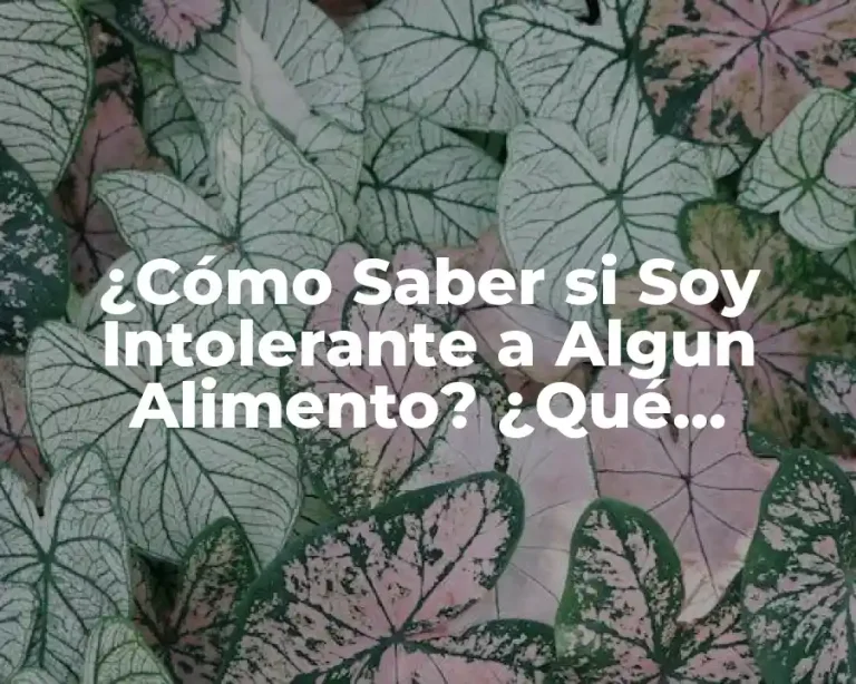 ¿Cómo Saber si Soy Intolerante a Algun Alimento? ¿Qué Síntomas Debo Buscar?