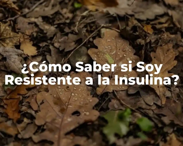 ¿Cómo Saber si Soy Resistente a la Insulina?