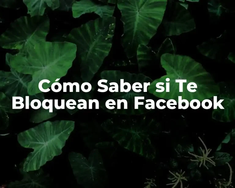 Cómo Saber si Te Bloquean en Facebook