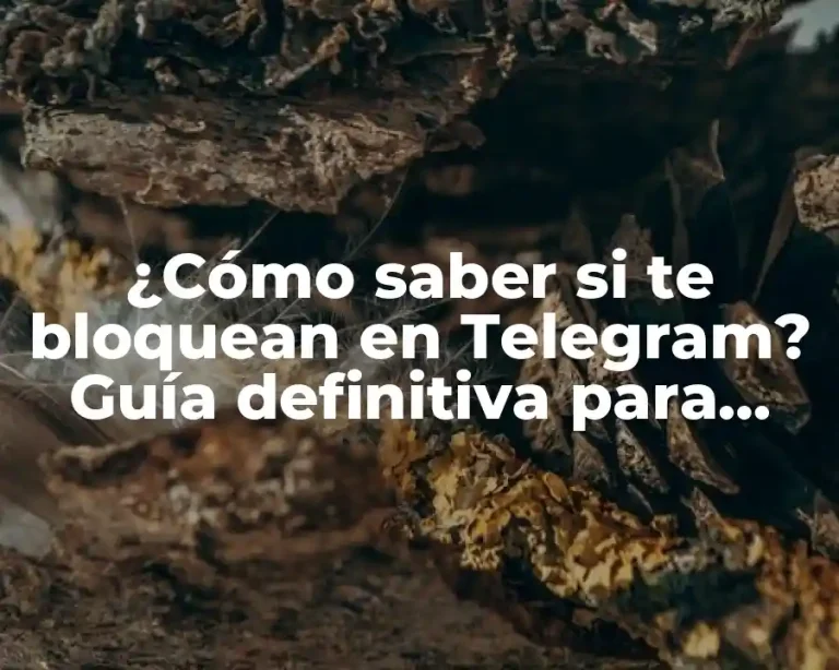 ¿Cómo saber si te bloquean en Telegram? Guía definitiva para detectar y solucionar