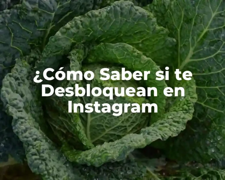¿Cómo Saber si te Desbloquean en Instagram