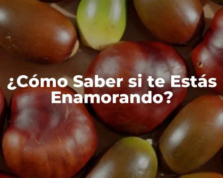 ¿Cómo Saber si te Estás Enamorando?