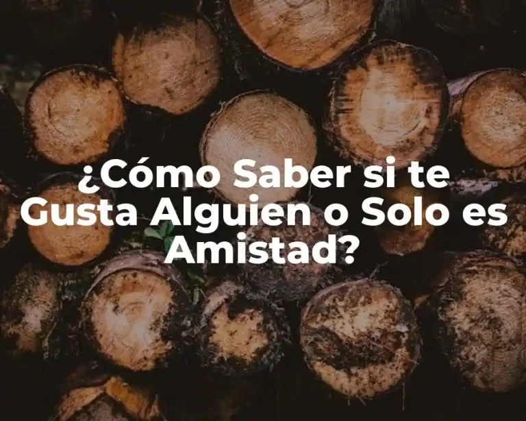 ¿Cómo Saber si te Gusta Alguien o Solo es Amistad?