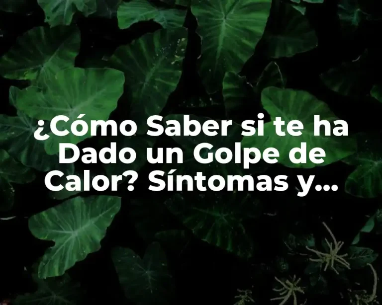 ¿Cómo Saber si te ha Dado un Golpe de Calor? Síntomas y Tratamiento
