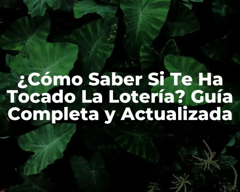 ¿Cómo Saber Si Te Ha Tocado La Lotería? Guía Completa y Actualizada