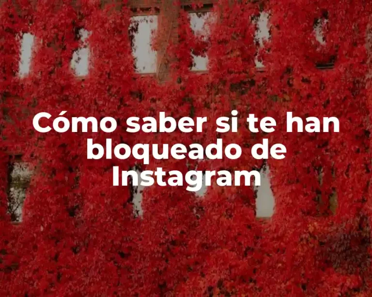 Cómo saber si te han bloqueado de Instagram
