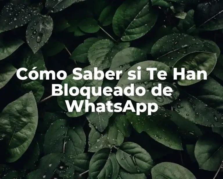 Cómo Saber si Te Han Bloqueado de WhatsApp