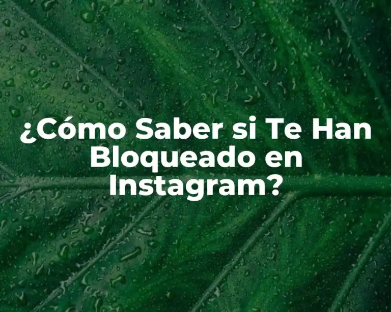 ¿Cómo Saber si Te Han Bloqueado en Instagram?