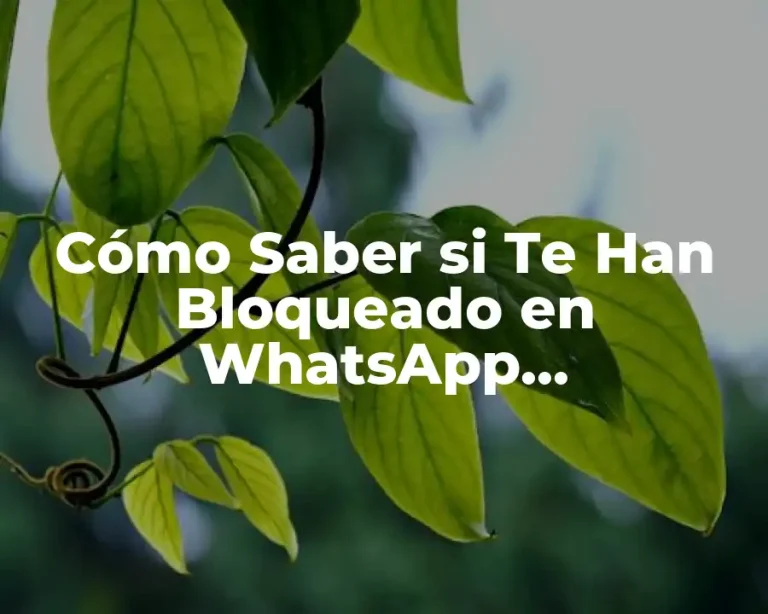 Cómo Saber si Te Han Bloqueado en WhatsApp Exactamente