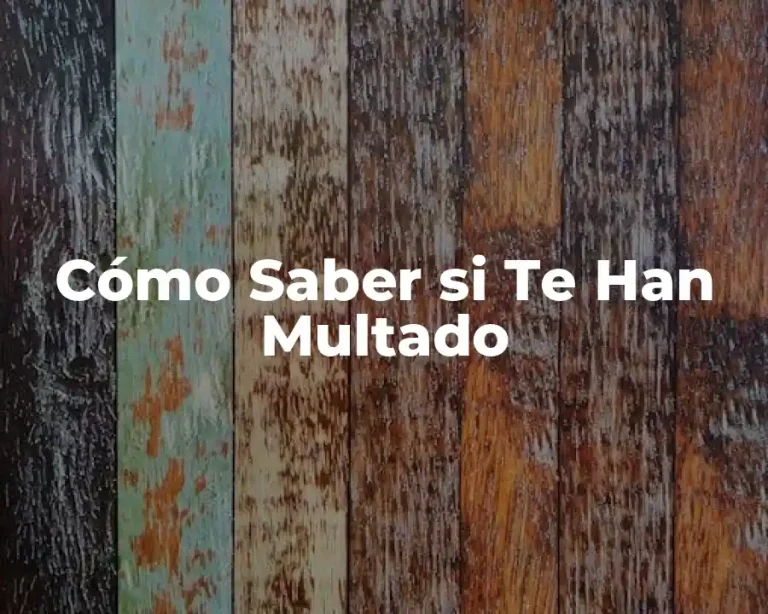 Cómo Saber si Te Han Multado