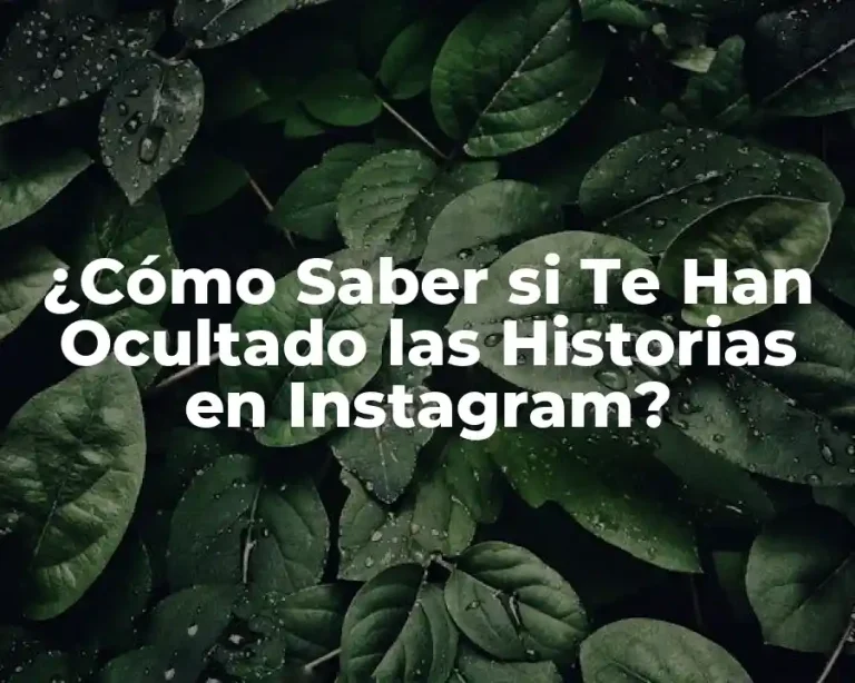 ¿Cómo Saber si Te Han Ocultado las Historias en Instagram?