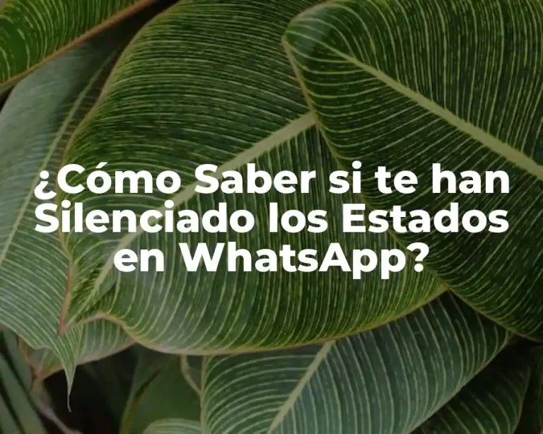 ¿Cómo Saber si te han Silenciado los Estados en WhatsApp?