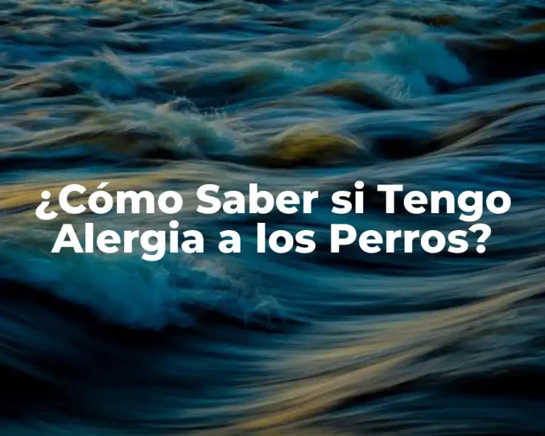 ¿Cómo Saber si Tengo Alergia a los Perros?