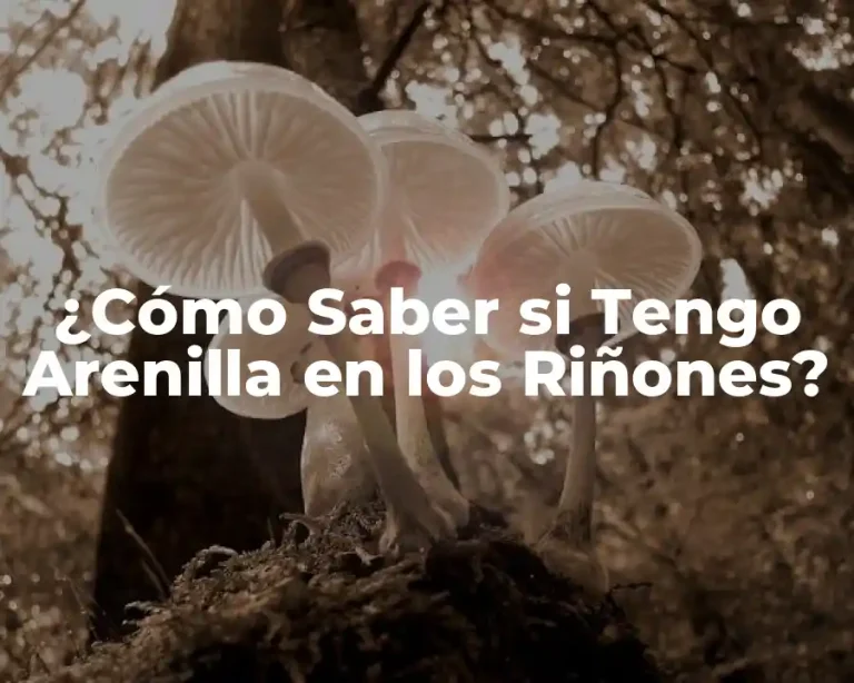 ¿Cómo Saber si Tengo Arenilla en los Riñones?