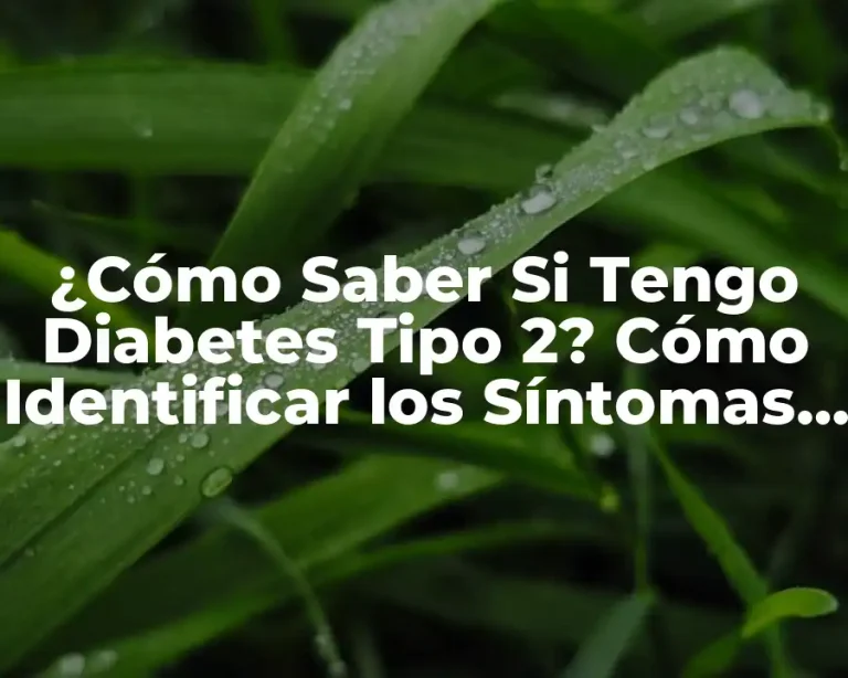 ¿Cómo Saber Si Tengo Diabetes Tipo 2? Cómo Identificar los Síntomas y Diagnosticar la Enfermedad