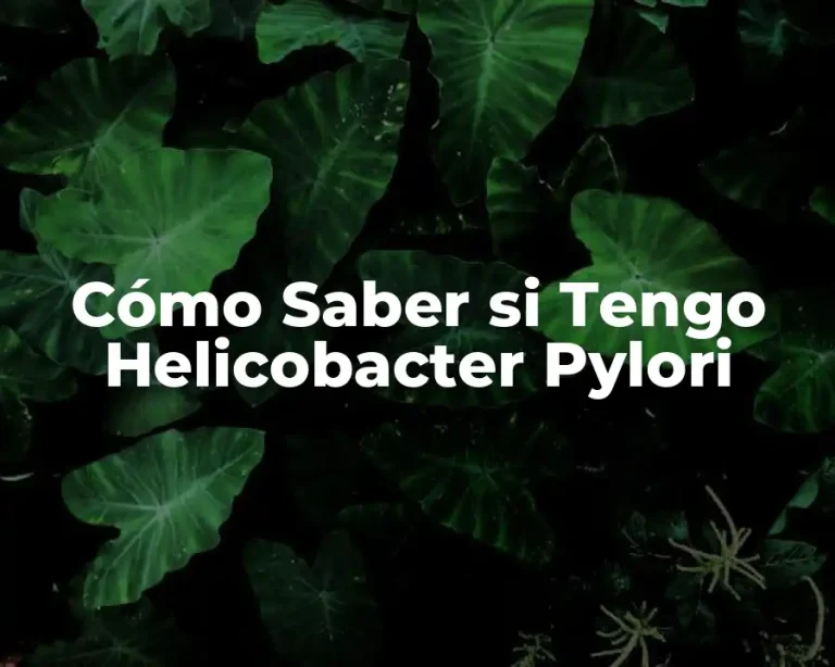 Cómo Saber si Tengo Helicobacter Pylori