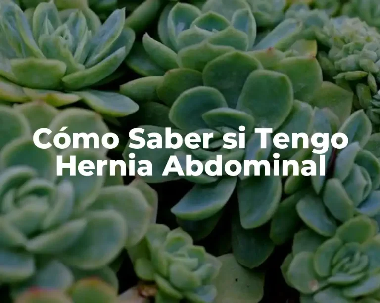 Cómo Saber si Tengo Hernia Abdominal