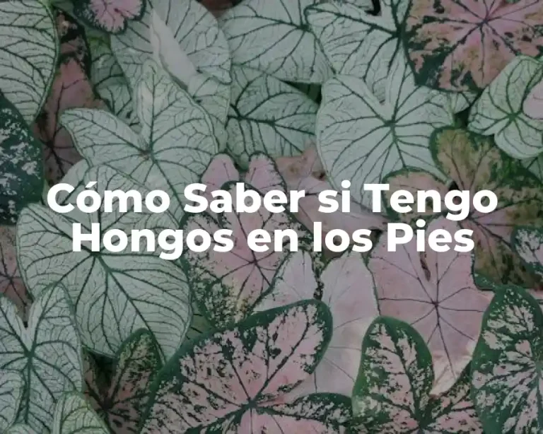 Cómo Saber si Tengo Hongos en los Pies