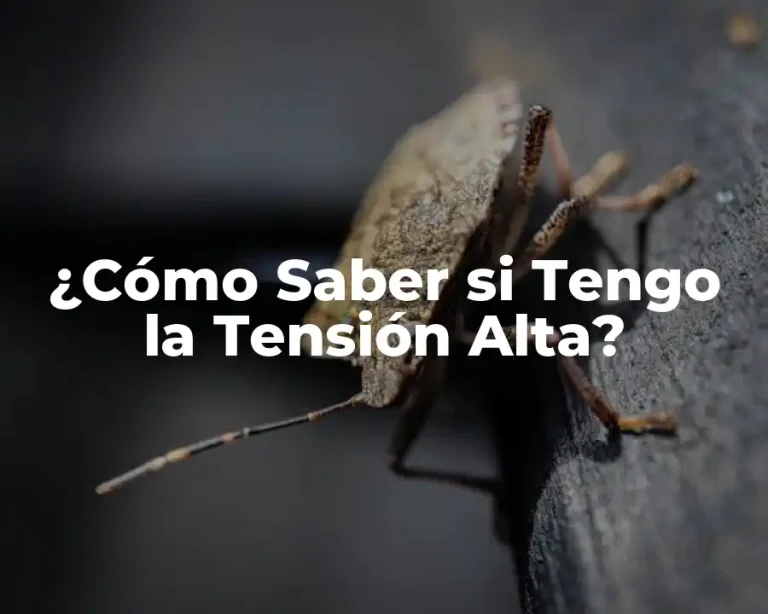 ¿Cómo Saber si Tengo la Tensión Alta?