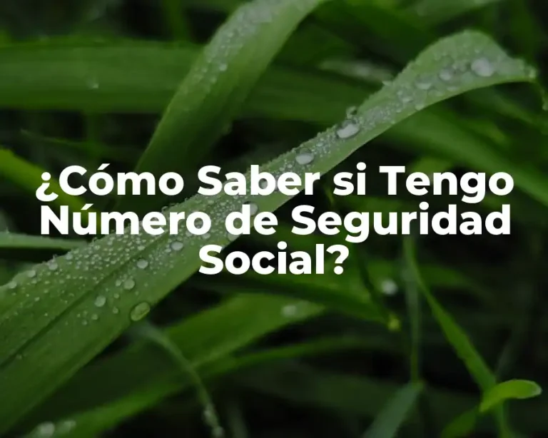 ¿Cómo Saber si Tengo Número de Seguridad Social?
