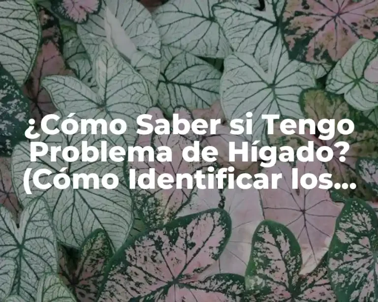¿Cómo Saber si Tengo Problema de Hígado? (Cómo Identificar los Síntomas y Tratar los Problemas Hepáticos)