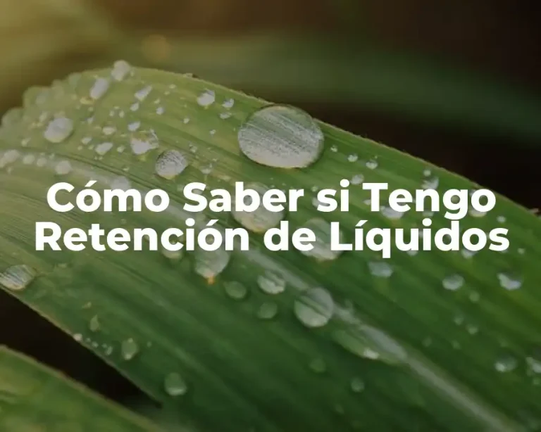 Cómo Saber si Tengo Retención de Líquidos