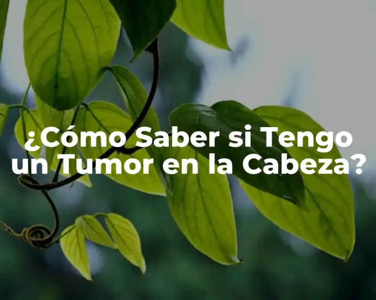 ¿Cómo Saber si Tengo un Tumor en la Cabeza?
