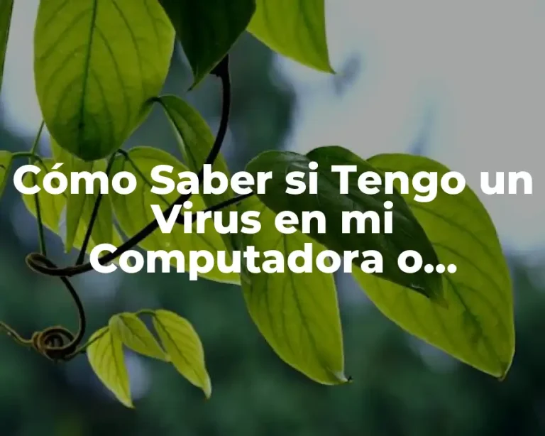 Cómo Saber si Tengo un Virus en mi Computadora o Dispositivo Móvil