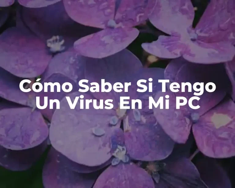 Cómo Saber Si Tengo Un Virus En Mi PC