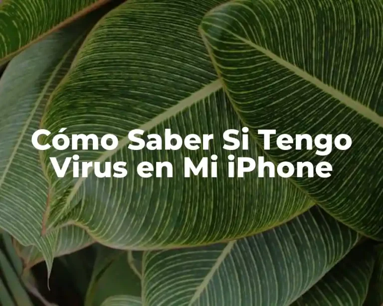 Cómo Saber Si Tengo Virus en Mi iPhone