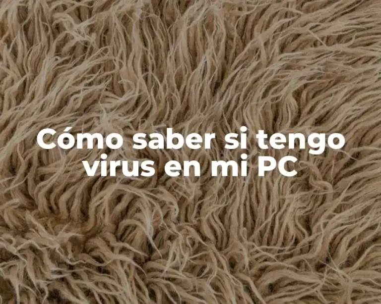 Cómo saber si tengo virus en mi PC