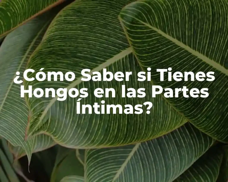 ¿Cómo Saber si Tienes Hongos en las Partes Íntimas?