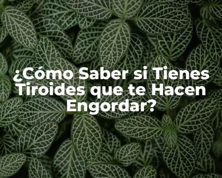 ¿Cómo Saber si Tienes Tiroides que te Hacen Engordar?