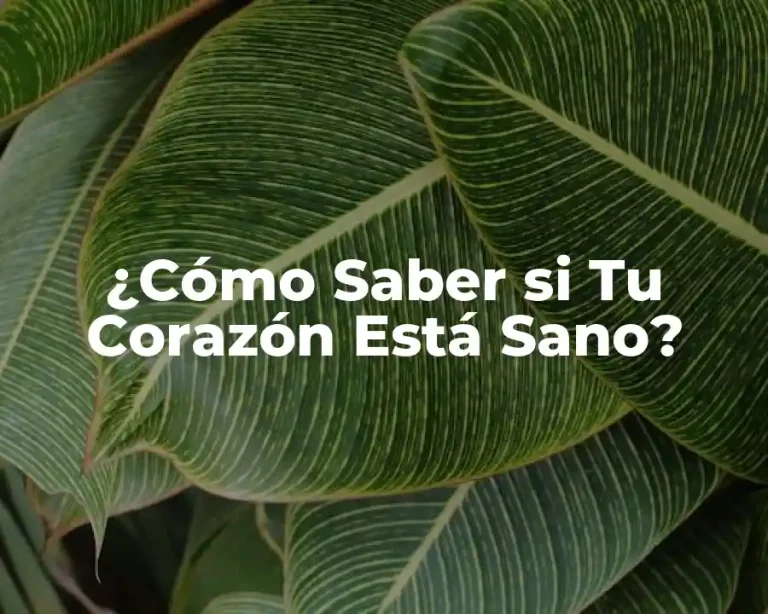 ¿Cómo Saber si Tu Corazón Está Sano?