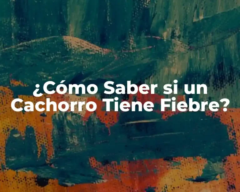 ¿Cómo Saber si un Cachorro Tiene Fiebre?