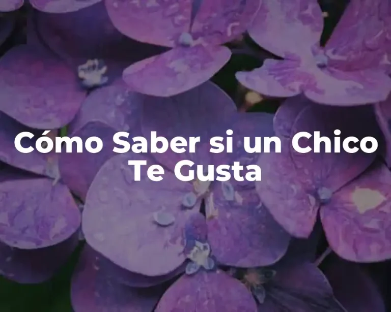 Cómo Saber si un Chico Te Gusta