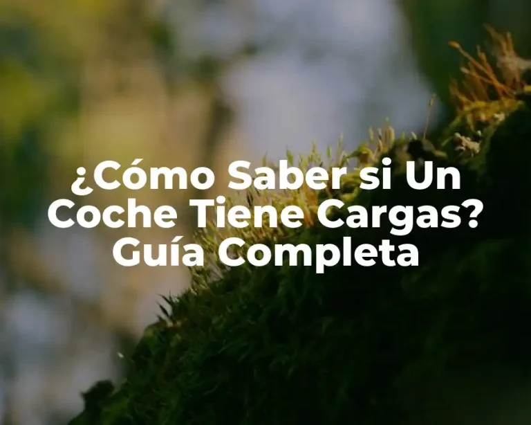 ¿Cómo Saber si Un Coche Tiene Cargas? Guía Completa