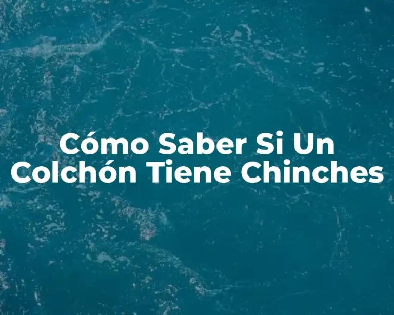 Cómo Saber Si Un Colchón Tiene Chinches